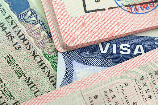 DTV Visa Consultation/Processing