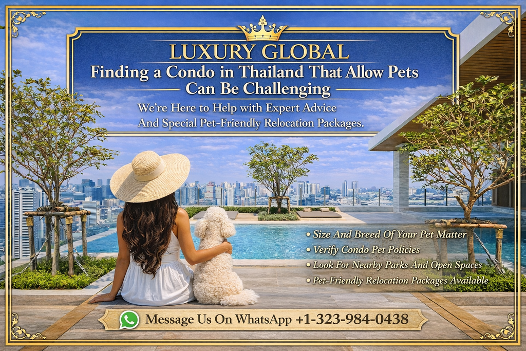 Pet Friendly Real Estate Agent Condo Relocation Tour Package